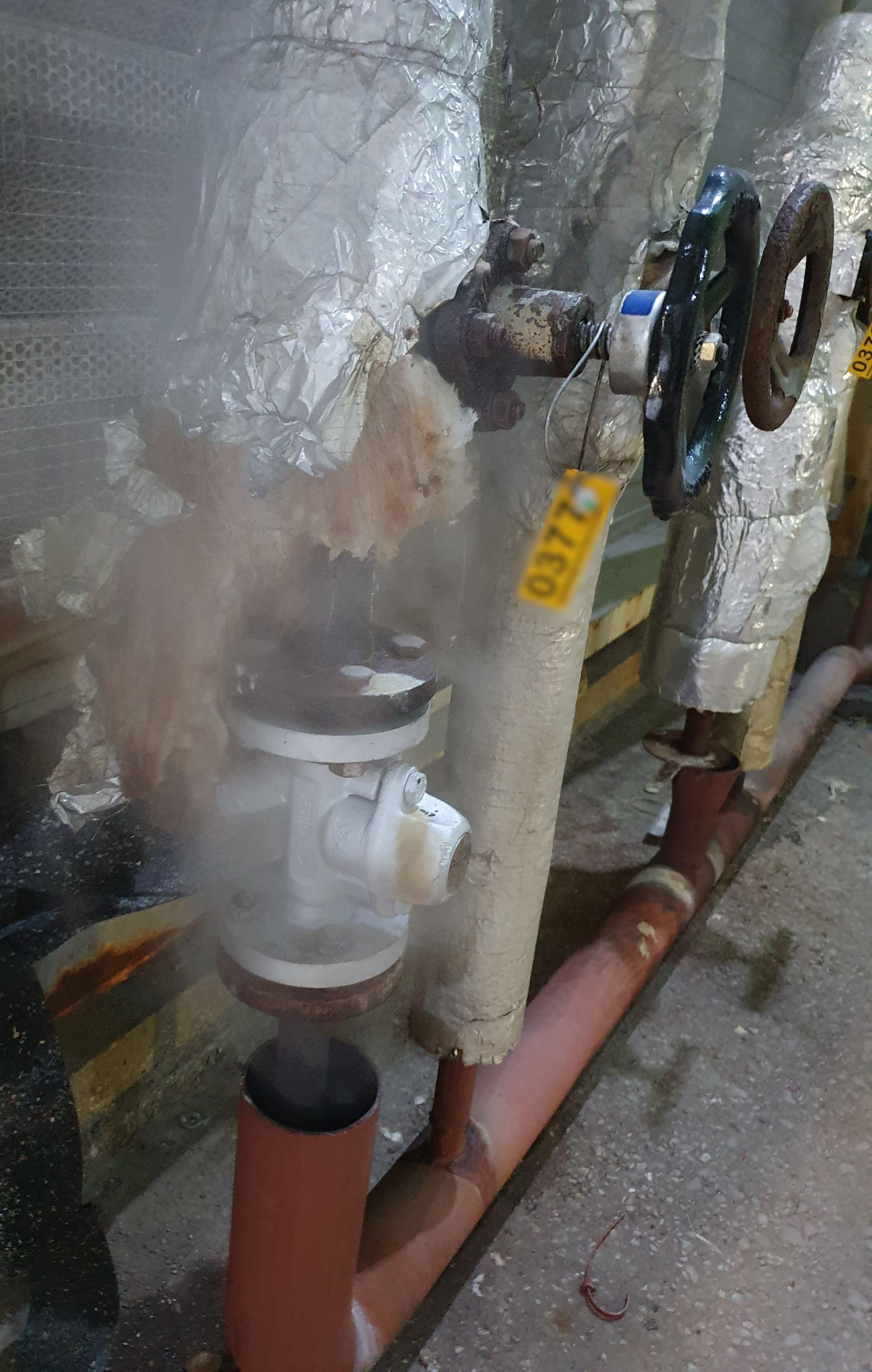 Panache de vapeur visible sur une installation industrielle avec tuyauteries calorifugées.