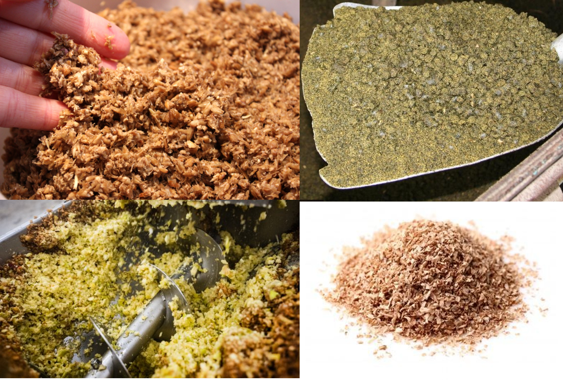 Coproduits agroalimentaires étudiés dans le projet WALOVAL : drêches, marc de pommes, tourteaux de colza et sons de blé